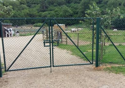 Metal wire fencing with gate