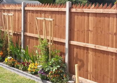 Wooden fencing with concrete supports